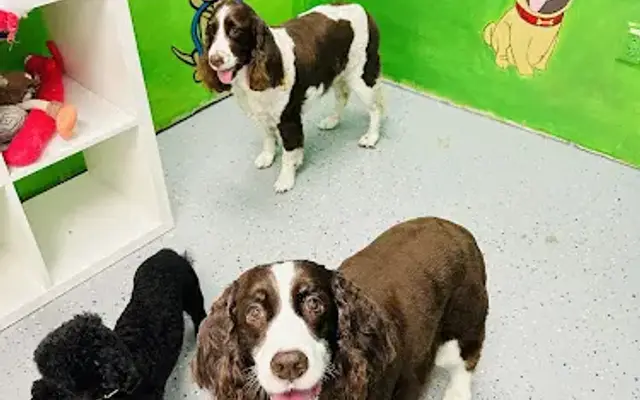 Sydnee's Pet Grooming - Mission Viejo in Mission Viejo, CA