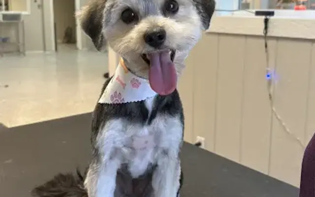 Polished Paws & Spa in Beech Grove, IN