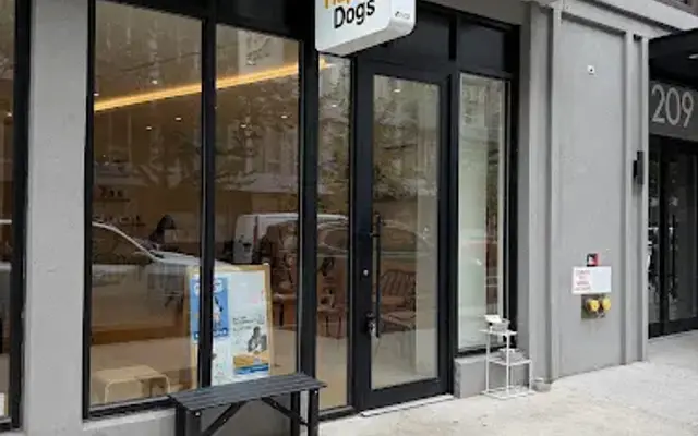 Happy Dogs in Brooklyn, NY