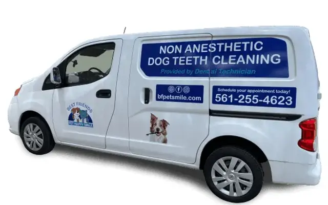 Best Friends Pet Happy Smile in Parkland, FL
