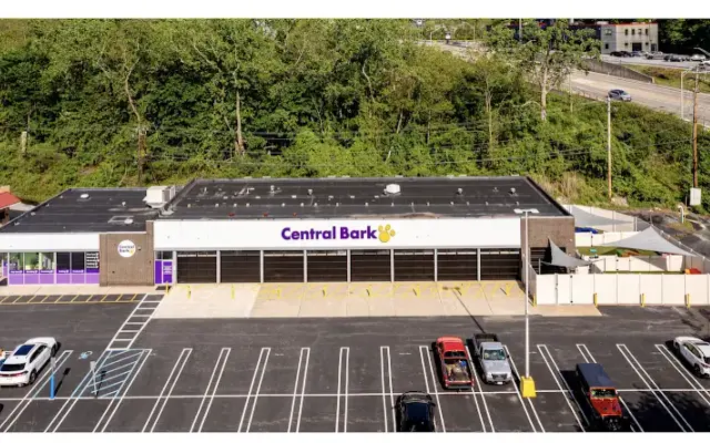Central Bark Poughkeepsie in Poughkeepsie, NY