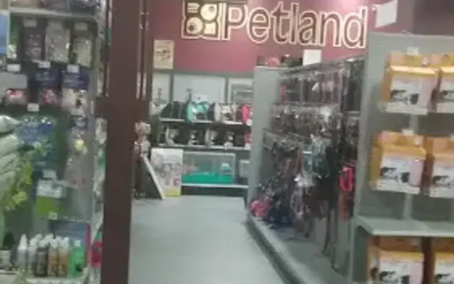 Petland Joplin in Joplin, MO