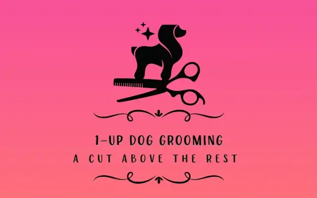 1-Up Dog Grooming LLC in Bloomington, IN