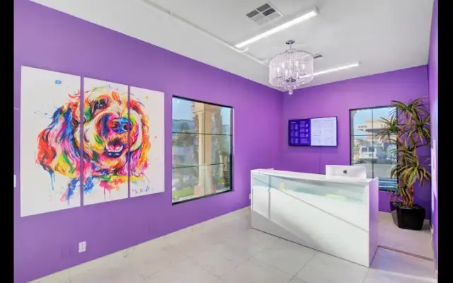 LV Dog Hotel II in Las Vegas, NV