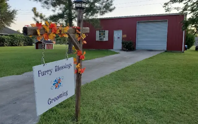 Furry Blessings Grooming in Glennville, GA
