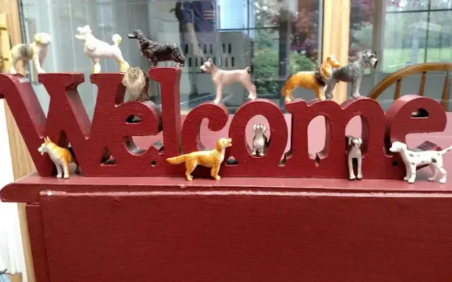 Untangled Pet Styling Salon in Byron, NY
