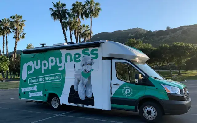 Puppyness in San Diego, CA