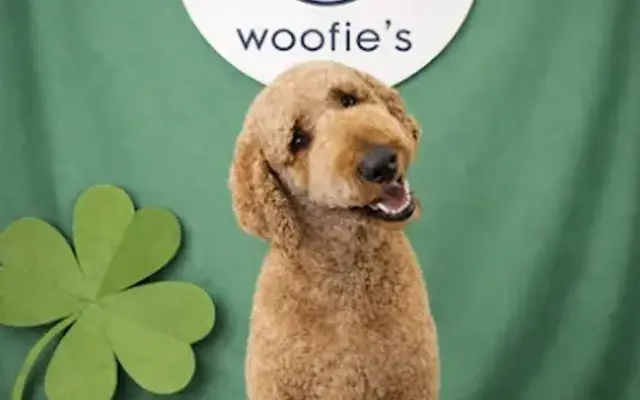 Woofie’s® of West Minneapolis in Golden Valley, MN