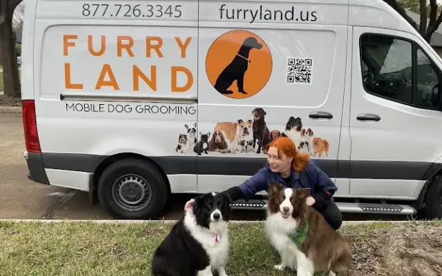 Furry Land Dallas Fort Worth in Grand Prairie, TX