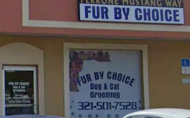 Fur by Choice in Merritt Island, FL