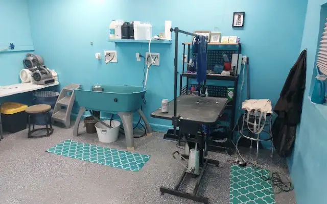 Gentle Care pet grooming llc in Albuquerque, NM