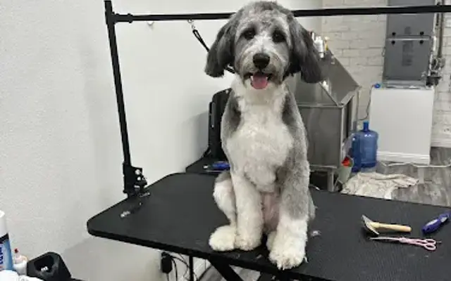 Pawtique Pawlor in Inglewood, CA