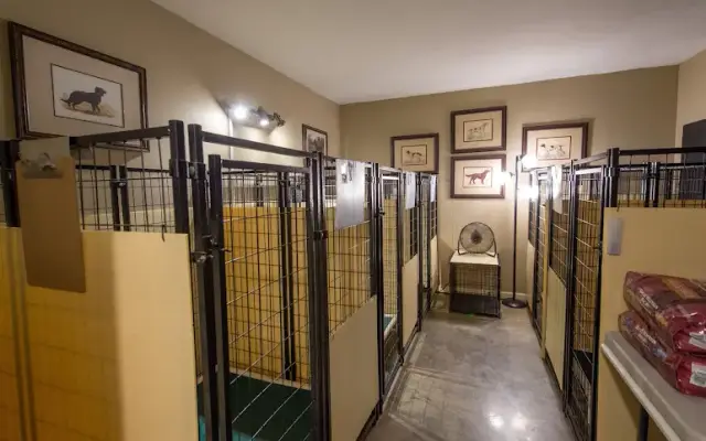 Happy Tails Bed And Biscuit in Harrison, TN
