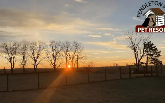 Pendleton Pens Pet Resort in Pendleton, IN