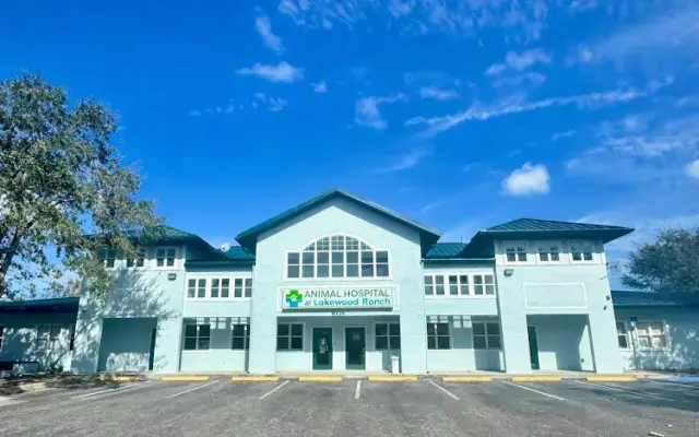 Animal Hospital at Lakewood Ranch in Bradenton, FL