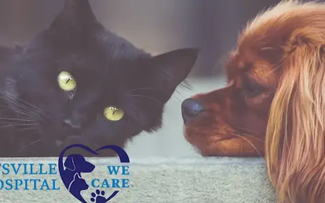 Goodlettsville Animal Hospital in Goodlettsville, TN