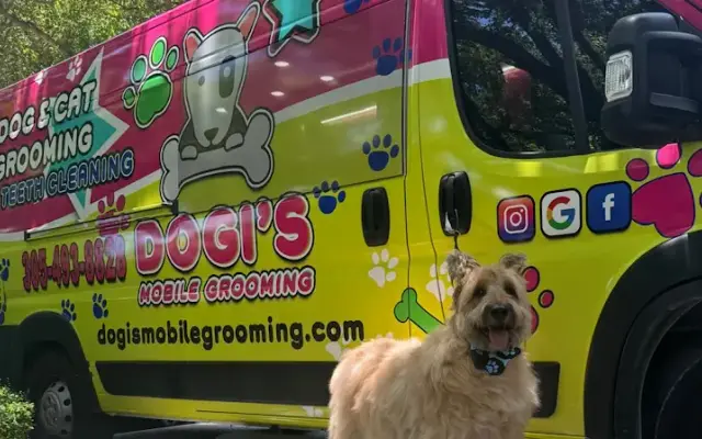 Dogi's Mobile Grooming in Tamarac, FL