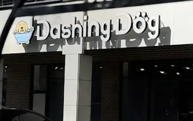 Dashing Dog - Wicker Park in Chicago, IL