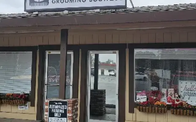 A Lucky Dog in Penryn, CA