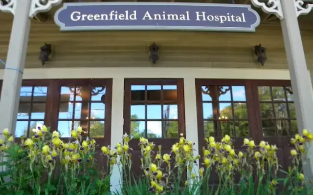 Greenfield Animal Hospital in Greenfield Center, NY