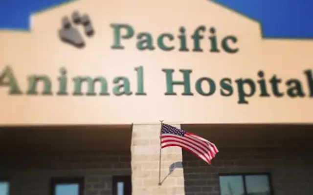 Pacific Animal Hospital in Pacific, MO