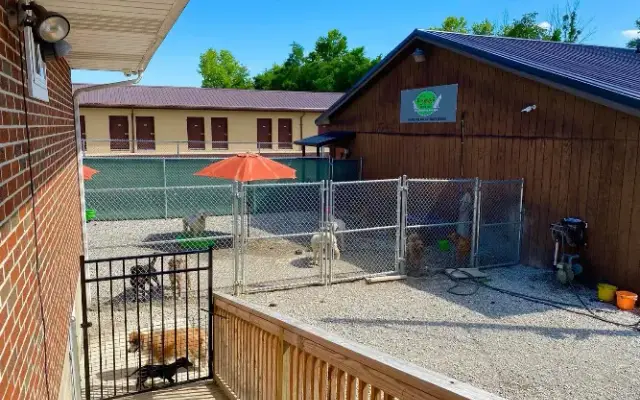 Skeens Pet Daycare & Spa in Portsmouth, OH