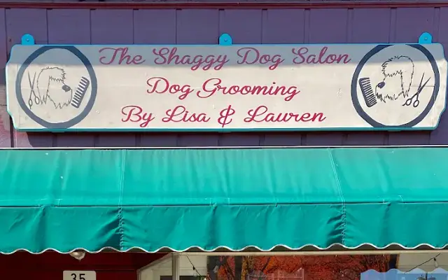 The Shaggy Dog Grooming Salon in East Palestine, OH