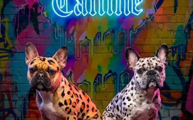 Color Me Canine in Laguna Beach, CA