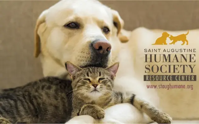 St. Augustine Humane Society in St. Augustine, FL