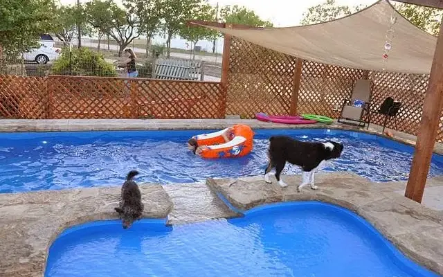 Country Cottage Pet Resort in New Braunfels, TX