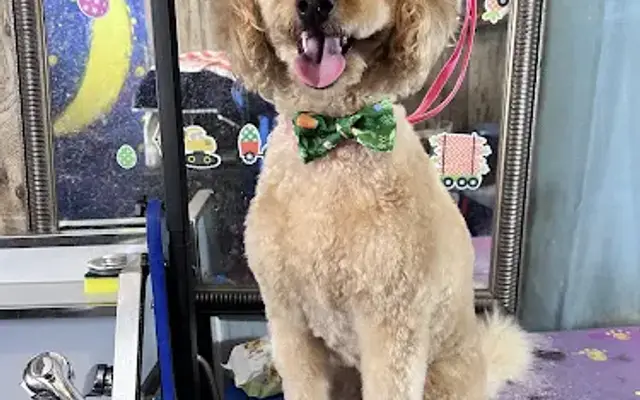 Black River Boarding, Training & Grooming in Lorain, OH