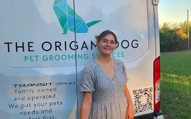 The Origami Dog in Azle, TX
