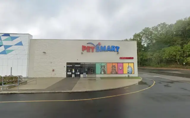PetSmart Grooming in Broomall, PA