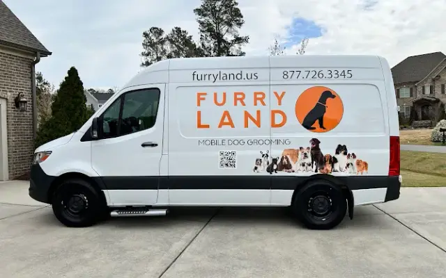 Furry Land Greensboro, High Point in Clemmons, NC