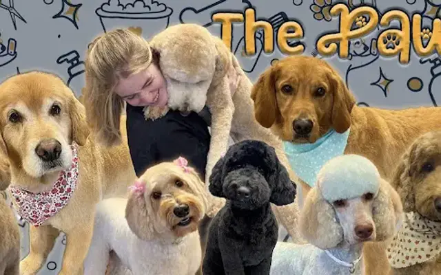 The Pawlor in Murrayville, GA
