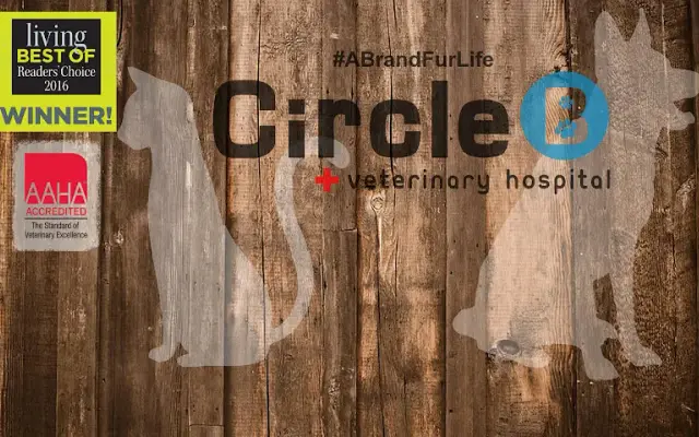Circle B Veterinary Hospital in Katy, TX