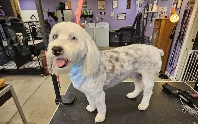 Tri lakes pet grooming by Nancy in Columbia City, IN