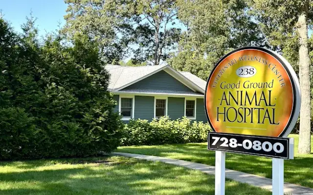 Good Ground Animal Hospital in Hampton Bays, NY