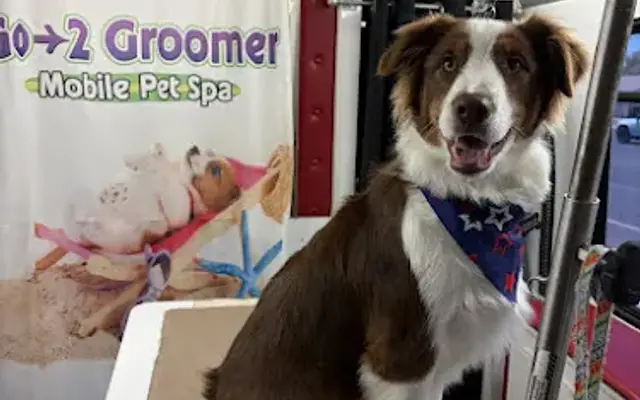 Go-2 Groomer Mobile Pet Spa in Phoenix, AZ