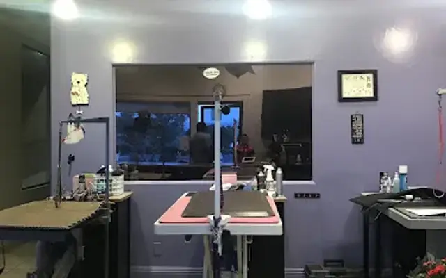 Uptown Dog Grooming in Palm Desert, CA