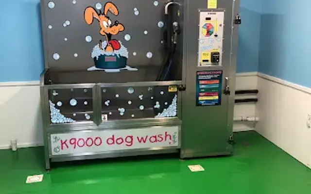 Steininger's Dog Wash in Selinsgrove, PA