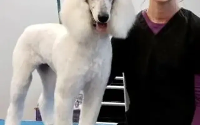 Sunny Lane Grooming in Fruitland, ID