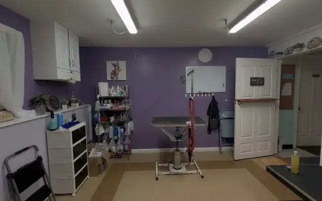 Teagan The Pet Stylist LLC in Bethlehem, CT
