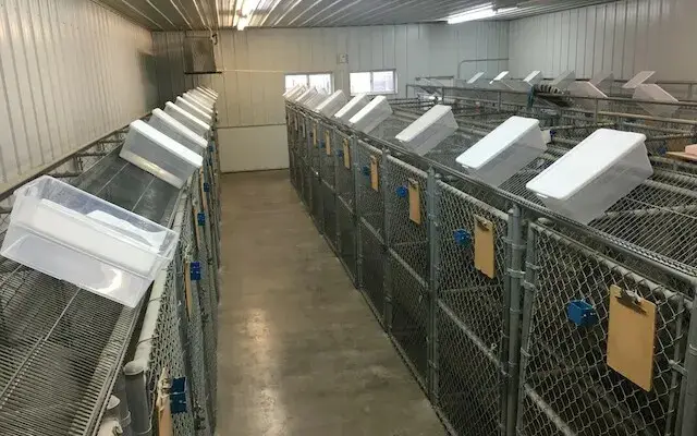 Bison Ridge Kennels in Blue Grass, IA