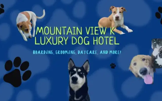 Mountain View Kennels in Easton, PA