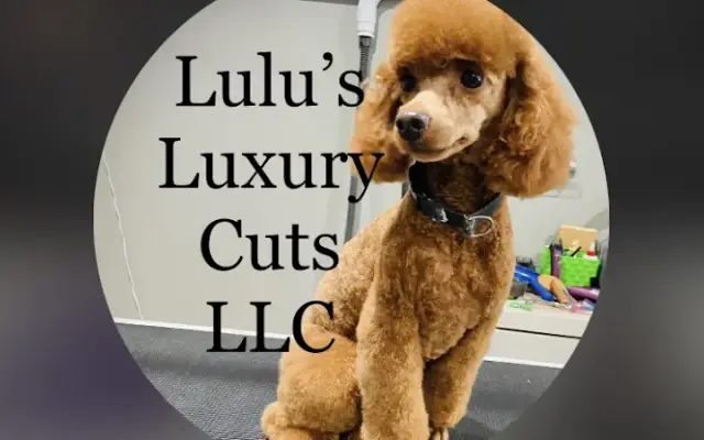 Lulu's Luxury Cuts LLC in Lapeer, MI