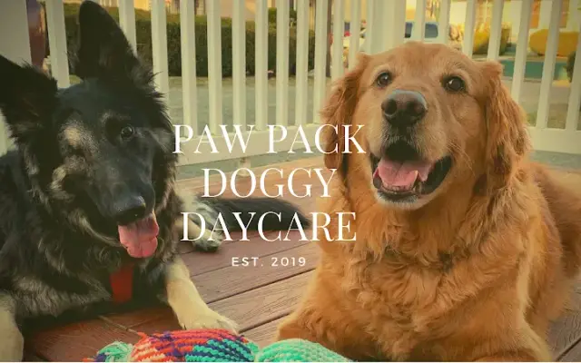 Paw Pack Doggy Daycare in Lake Ariel, PA