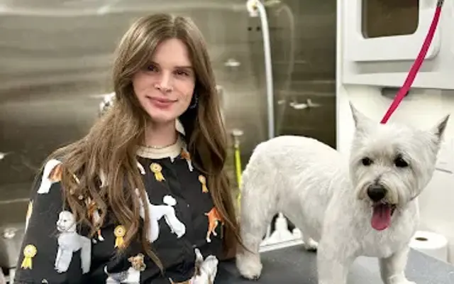Heavenly Hounds Mobile Grooming in Jacksonville, FL