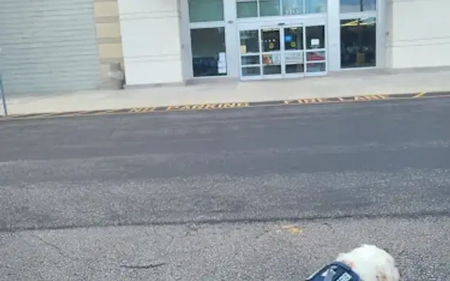 PetSmart in Valrico, FL