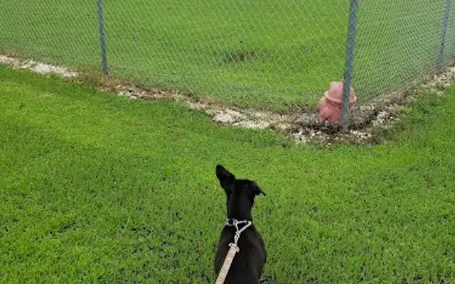 Hagan's Pet Resort & Animal Clinic in Sarasota, FL